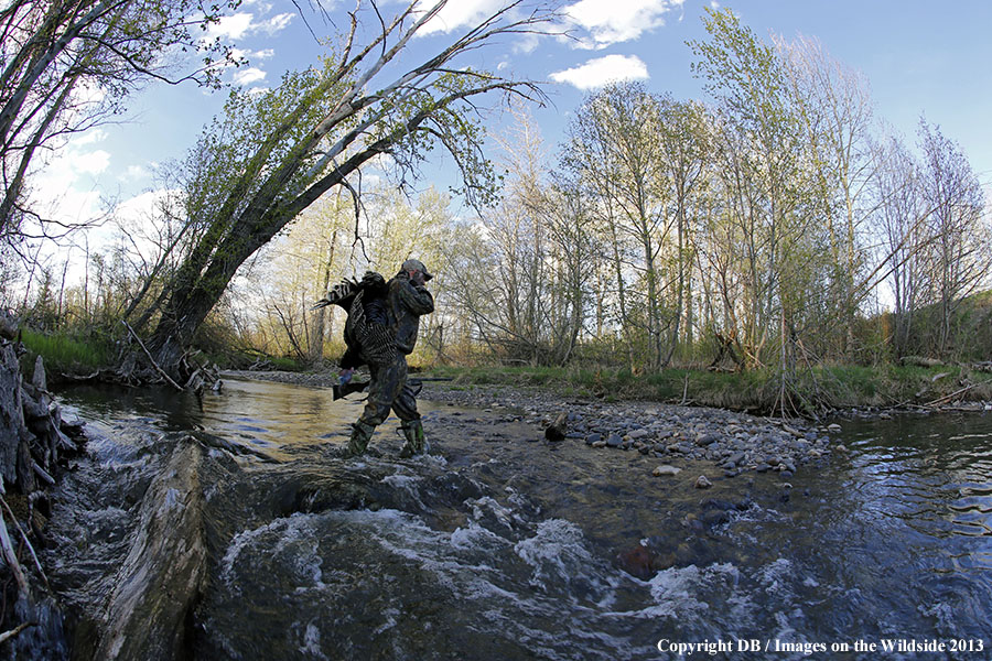 Turkey hunter in field with bagged turkey.