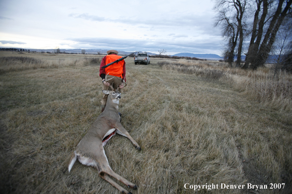 Hunter in field with bagged deer