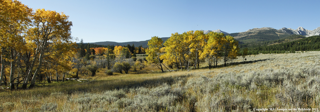 Bridger Mountains in autumn. 