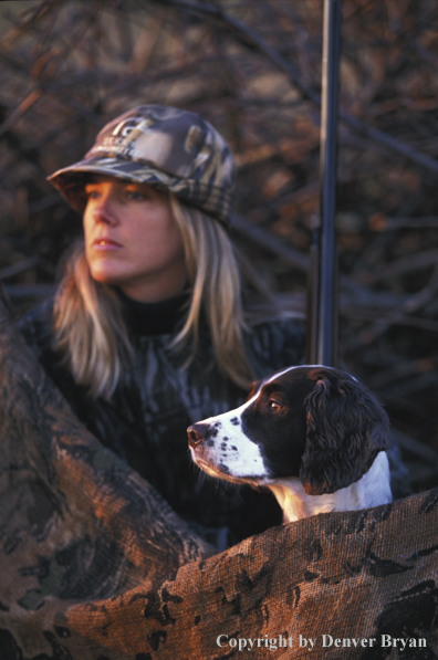 Upland game bird hunter with English Springer Spaniel.