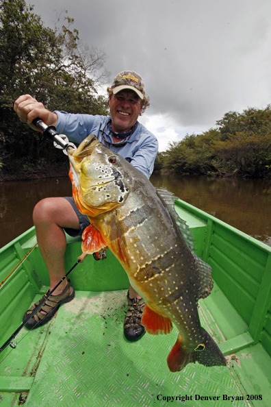 Flyfisherman with nice peacock bass