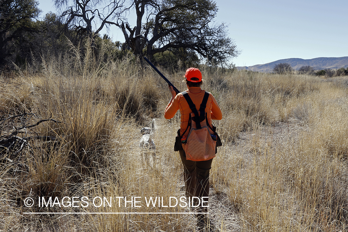 Female upland game bird hunter in field with dog.
