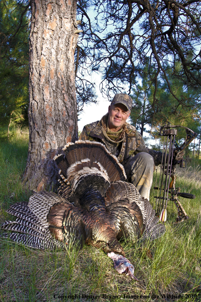 Hunter with bagged (Merriam's) turkey