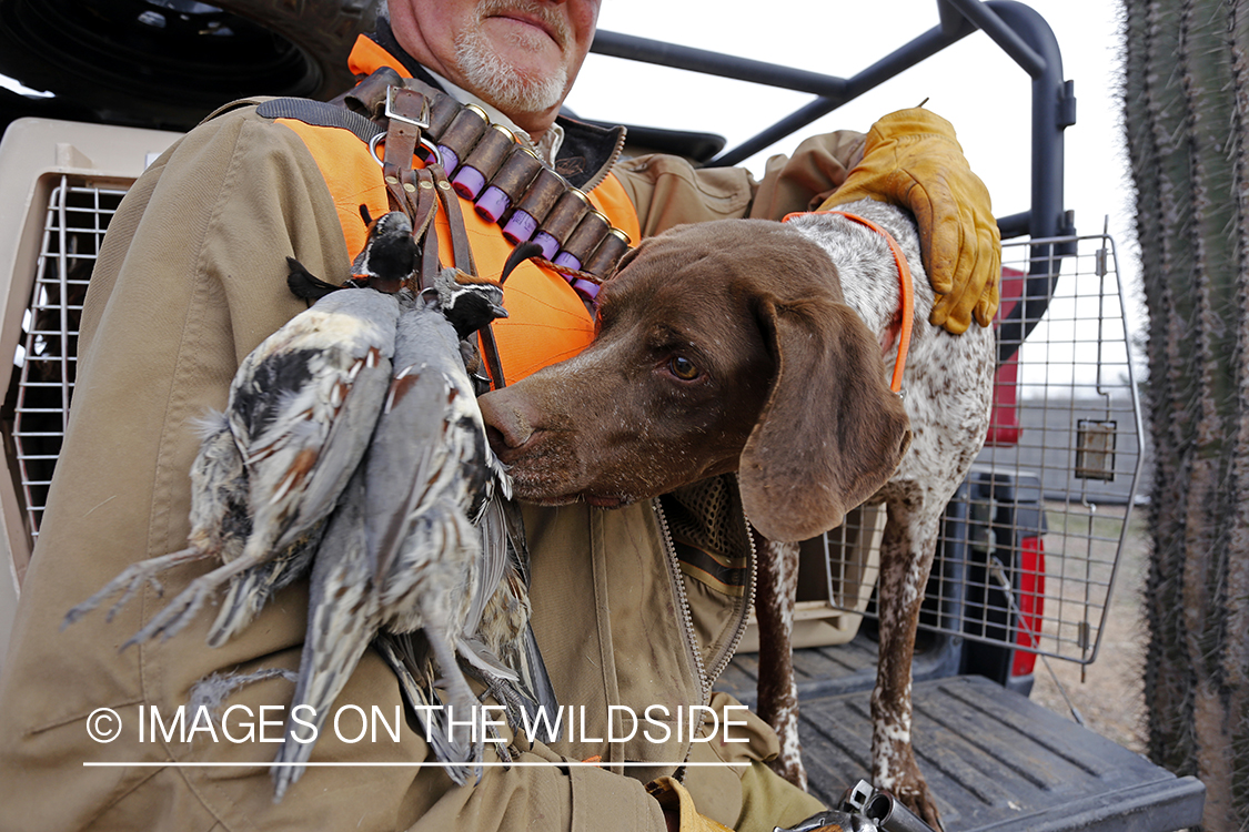 Quail hunter with bagged Gambel's Quails.