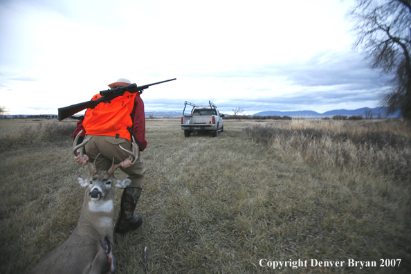 Hunter in field with bagged deer
