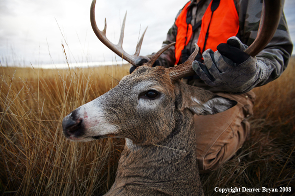 Hunter with Whitetail Deer