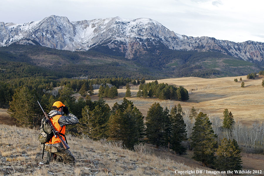 Hunter glassing for big game.