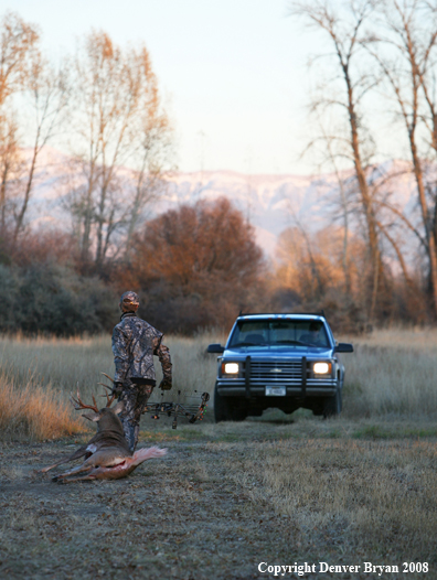 Bowhunter with Whitetail Deer