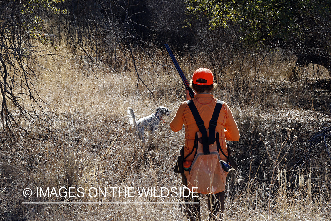Female upland game bird hunter in field with dog.