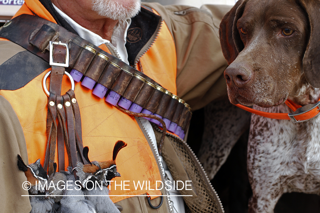 Quail hunter with bagged Gambel's Quails.