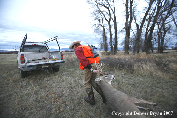 Hunter in field with bagged deer