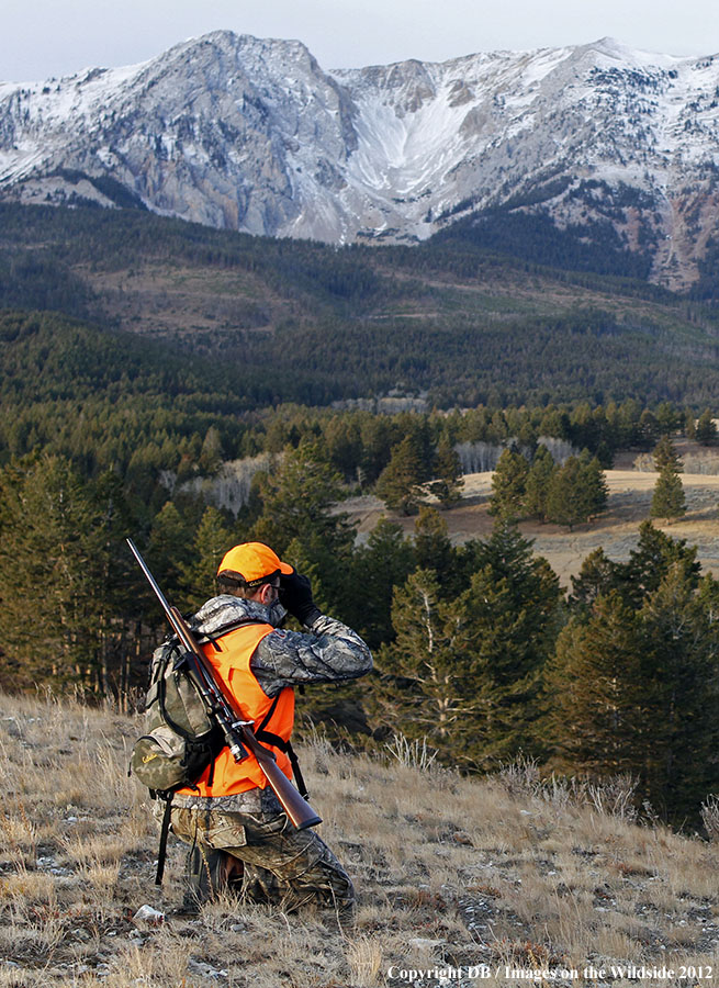Hunter glassing for big game.