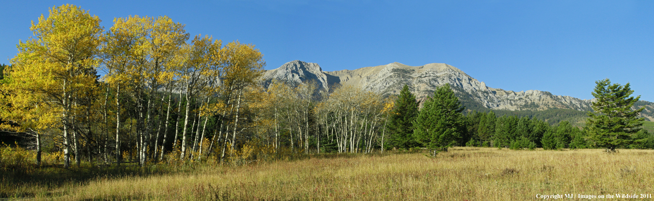 Bridger Mountains in autumn. 