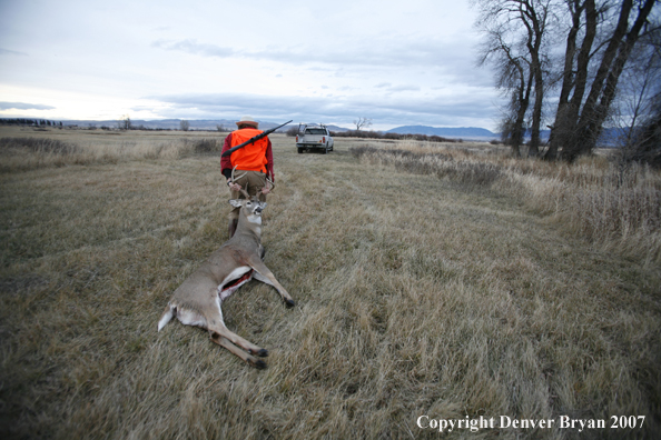 Hunter in field with bagged deer