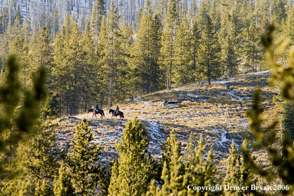 Elk hunters on horseback.  