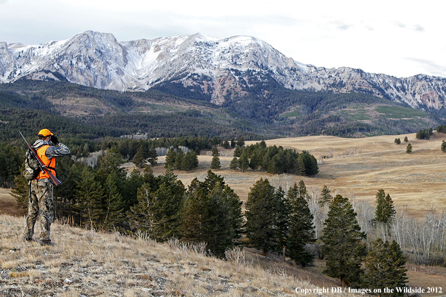 Hunter glassing for big game.