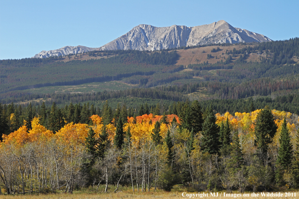 Bridger Mountains in autumn. 