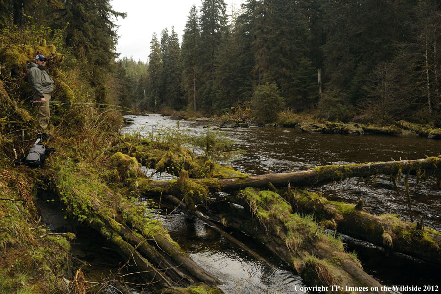 Flyfisherman in Alaska. 