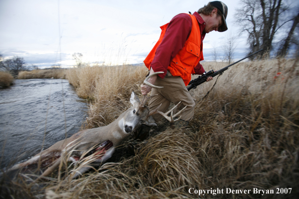 Hunter in field with bagged deer