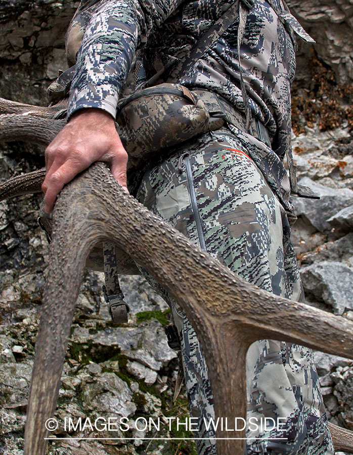 Hunter packing out elk rack.
