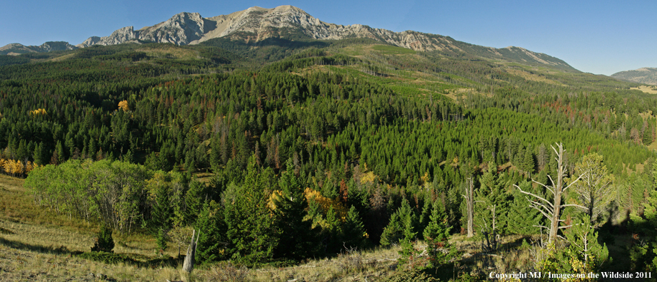 Lookout Point in autumn. 