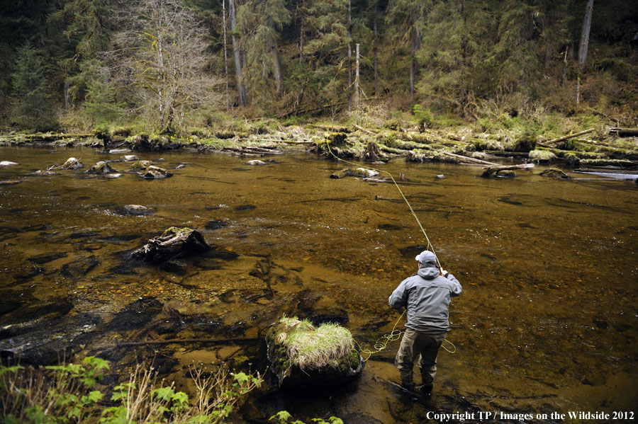 Flyfisherman in Alaska. 