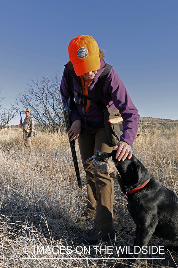 Female hunter pets dog with bagged quail.