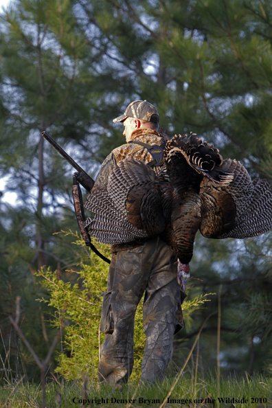 Hunter with bagged (Merriam's) turkey thrown over shoulder