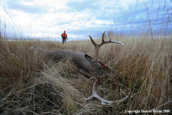 Hunter with Whitetail Deer