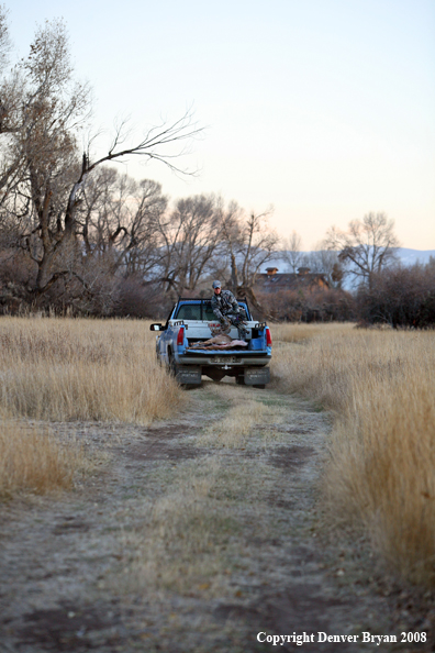 Bowhunter with Whitetail Deer