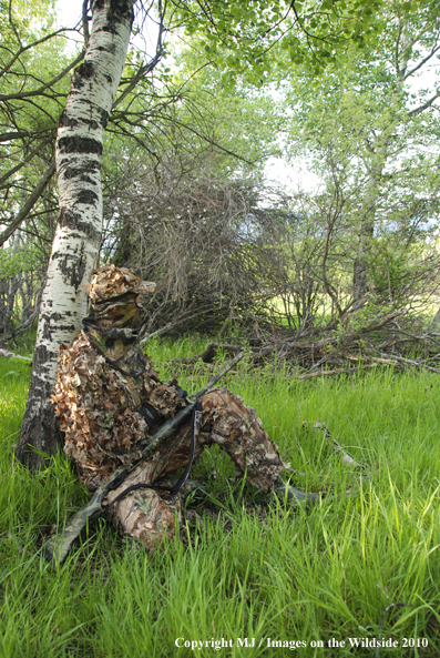 Turkey Hunter in Field