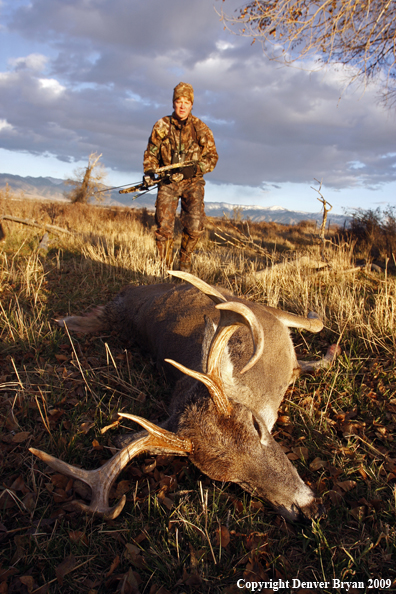 Bowhunter approaching whitetail buck kill.
