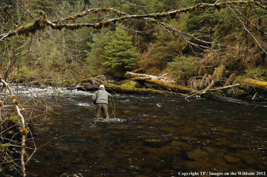 Flyfisherman in Alaska. 