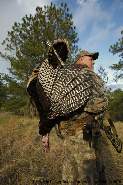 Hunter with bagged (Merriam's) turkey thrown over shoulder