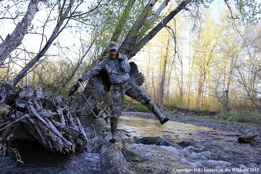 Turkey hunter in field with bagged turkey.