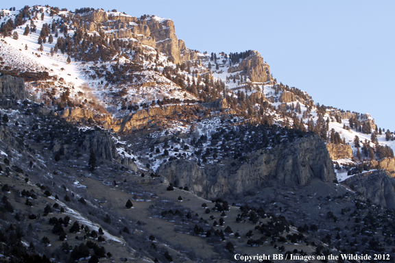 Mountain range landscape, Utah. 