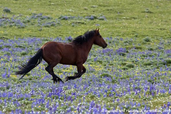 Photo taken by Mark Miller