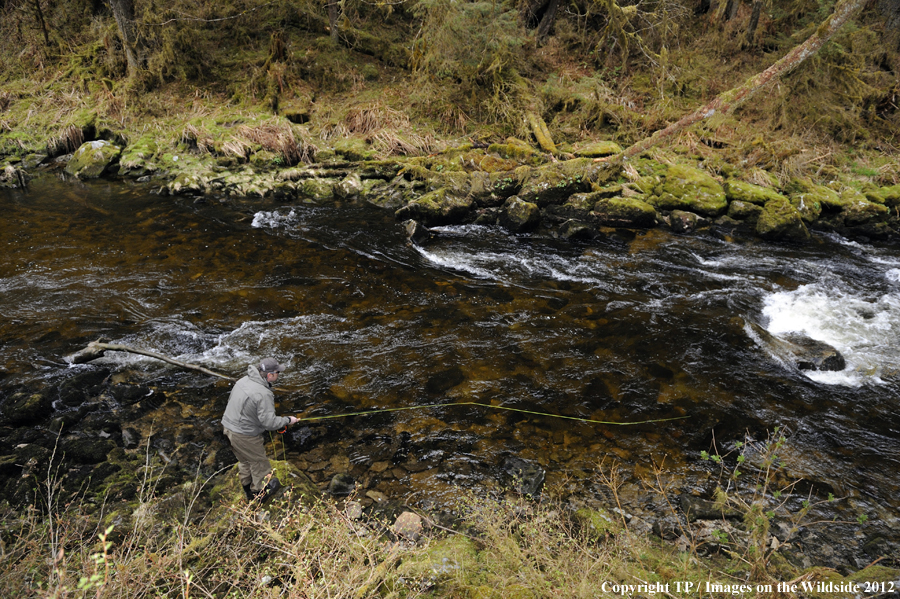 Flyfisherman in Alaska. 