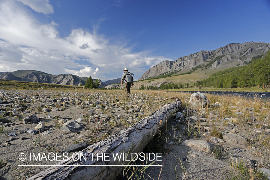 Flyfisherman walking along Delger River, Mongolia.