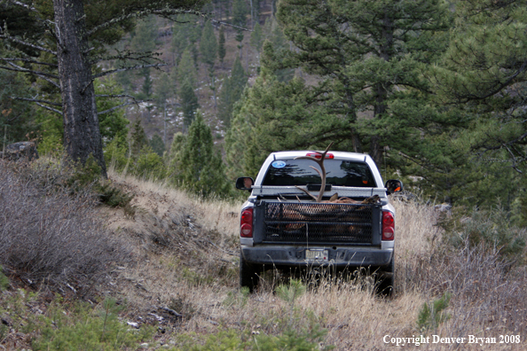 Elk Hunters with Elk