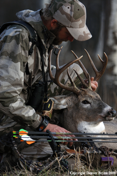 Bowhunter with bagged whitetail buck.