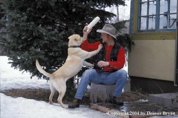 Man and yellow Labrador Retriever playing fetch