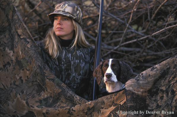 Upland game bird hunter with English Springer Spaniel.