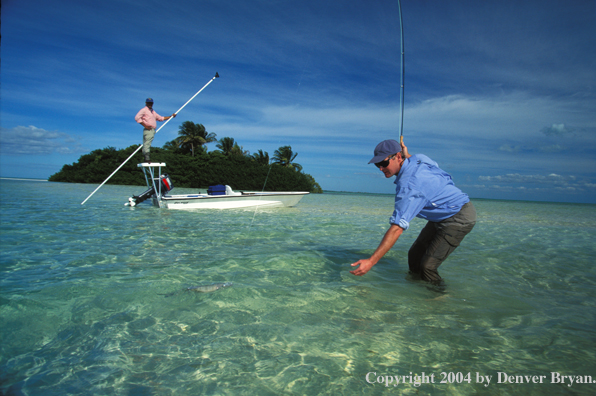 Saltwater flyfisherman landing bonefish.