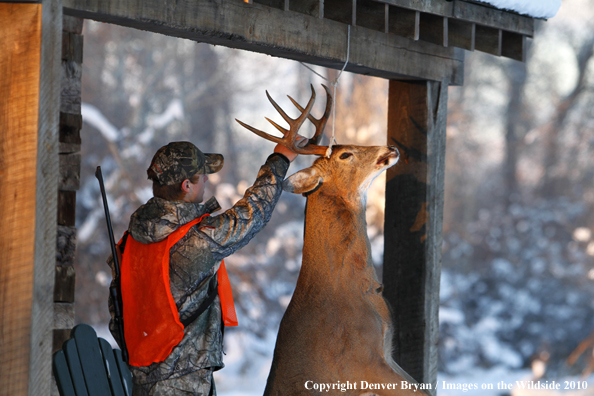 Hunter with bagged buck. 