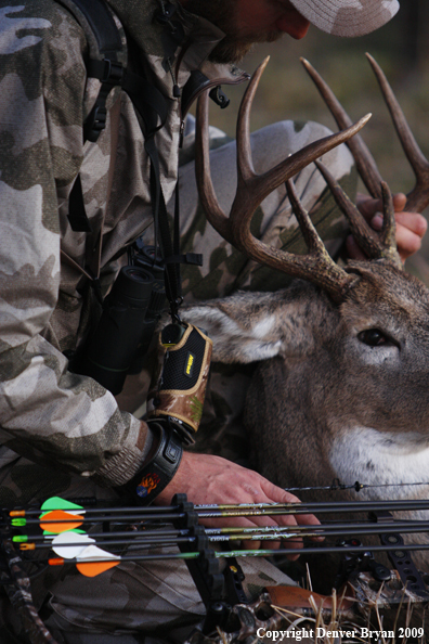 Bowhunter with bagged whitetail buck.