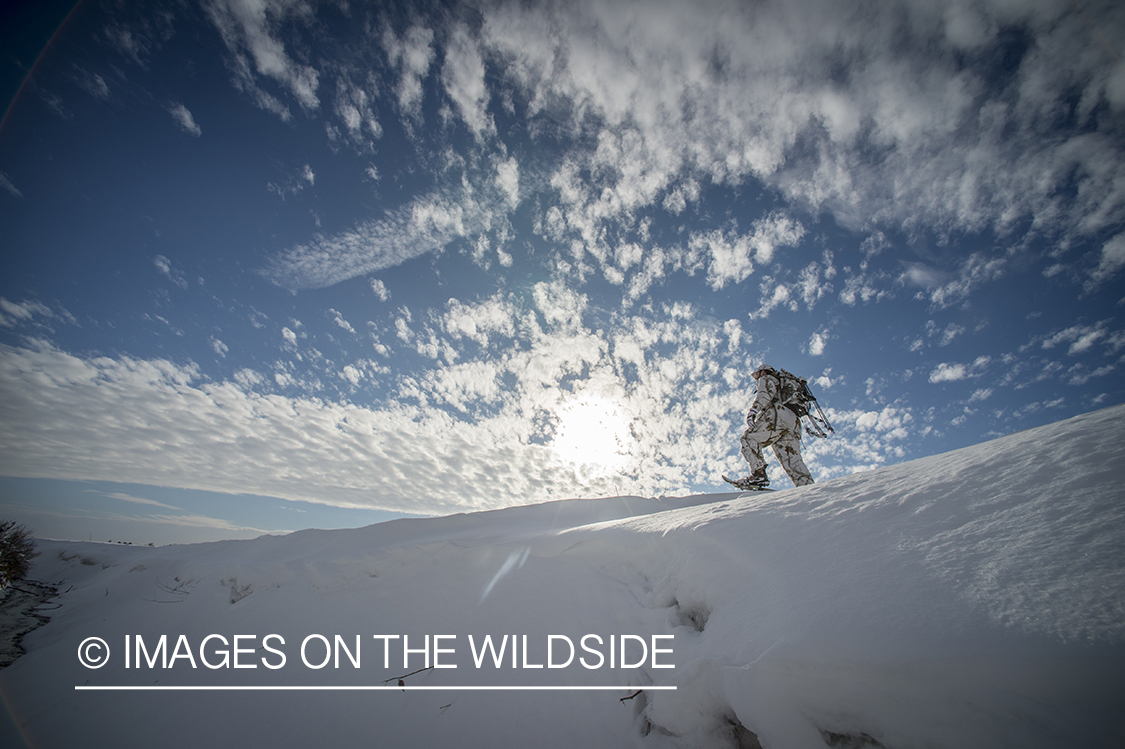 Bowhunter in winter landscape.