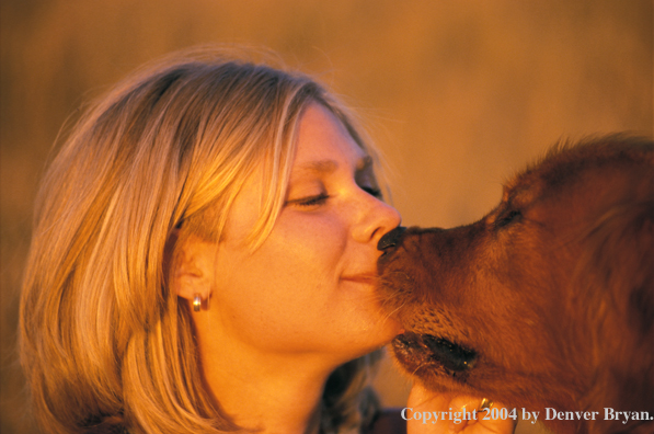 Golden Retriever and owner kissing.