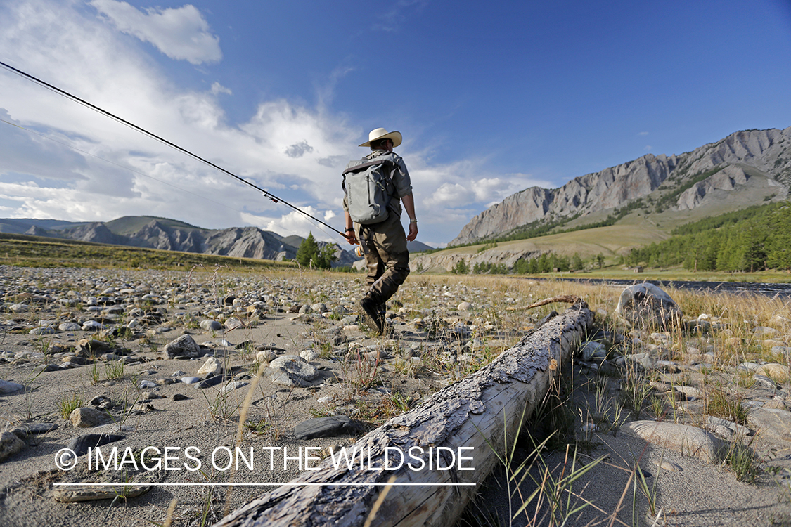Flyfisherman walking along Delger River, Mongolia.