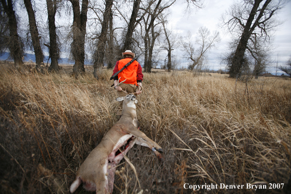 Hunter in field with bagged deer